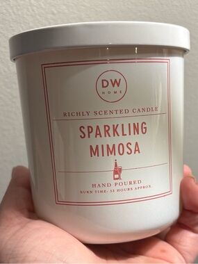 DW Home Sparkling Mimosa Scented Candle - NEW